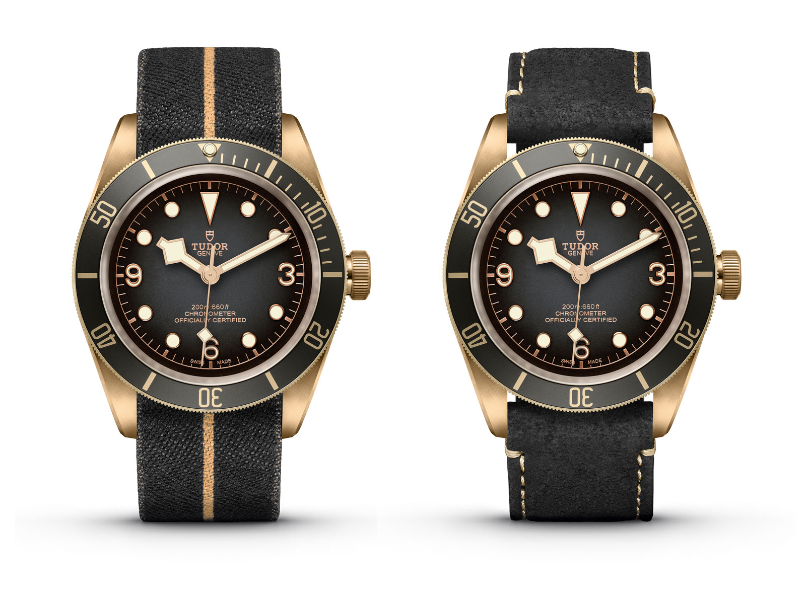 Tudor 2019 2025