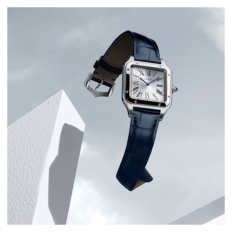 New Additions To The Cartier Santos Collection