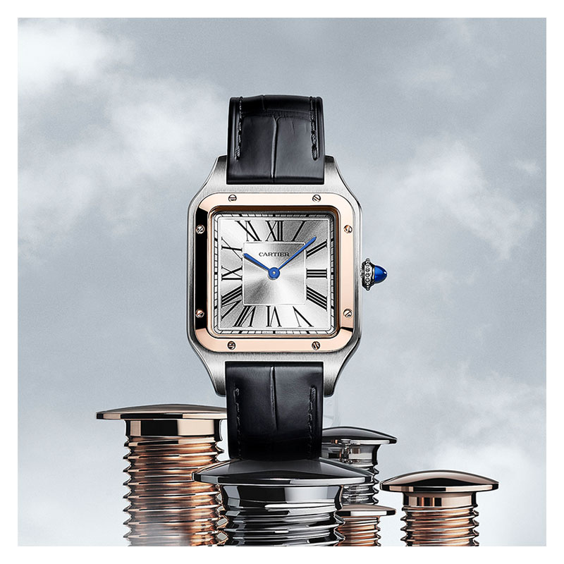 Cartier new online santos