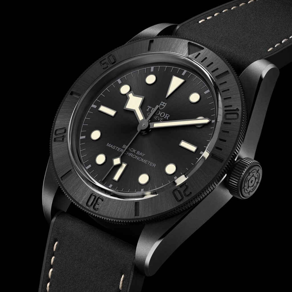 The Tudor Black Bay Ceramic.