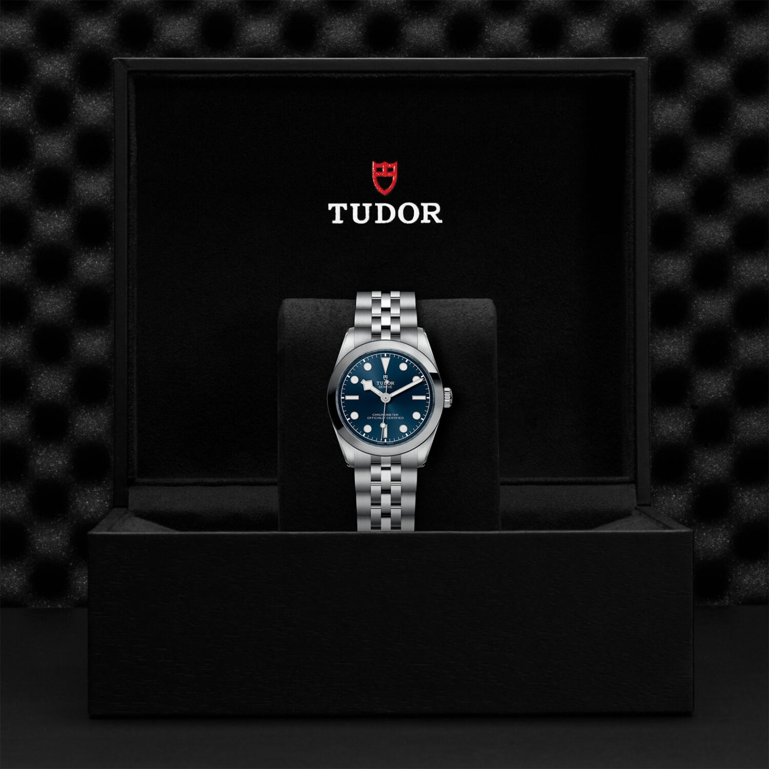 TUDOR Black Bay 31 M79600-0002 Shop Tudor Watches at Watches of Switzerland - Canberra, Sydney, Melbourne & Perth