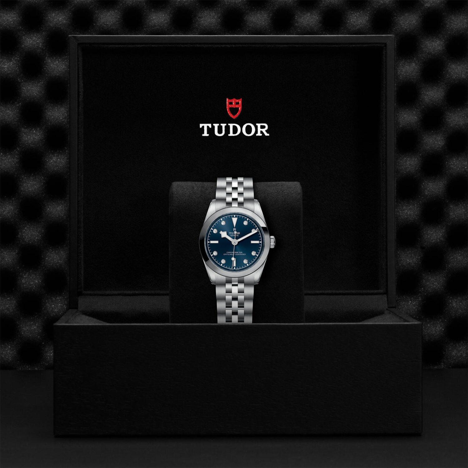 TUDOR Black Bay 31 M79600-0005 Shop Tudor Watches at Watches of Switzerland - Canberra, Sydney, Melbourne & Perth