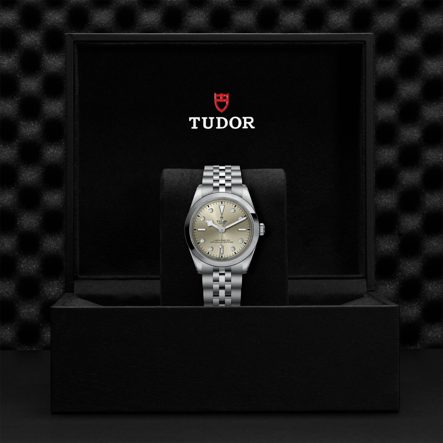 TUDOR Black Bay 36 M79640-0006 Shop Tudor Watches at Watches of Switzerland - Canberra, Sydney, Melbourne & Perth