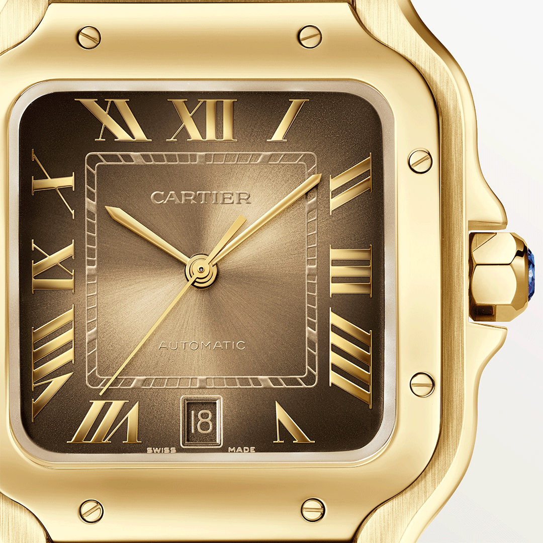 Santos De Cartier WGSA0095