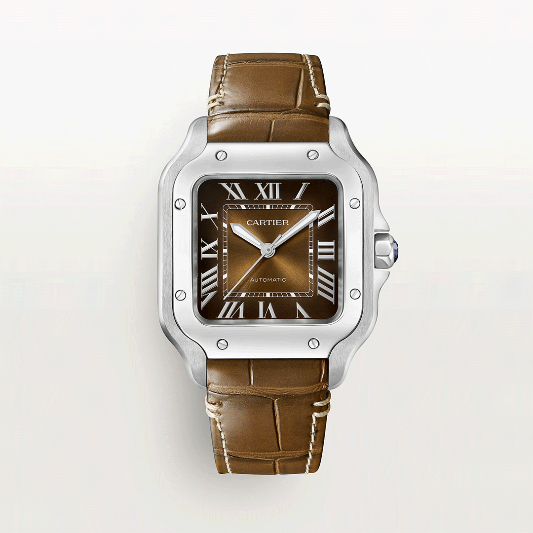 Santos De Cartier WSSA0065