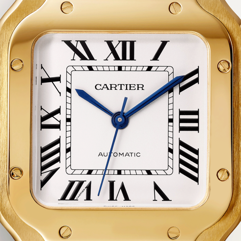 Santos De Cartier Watch WGSA0030