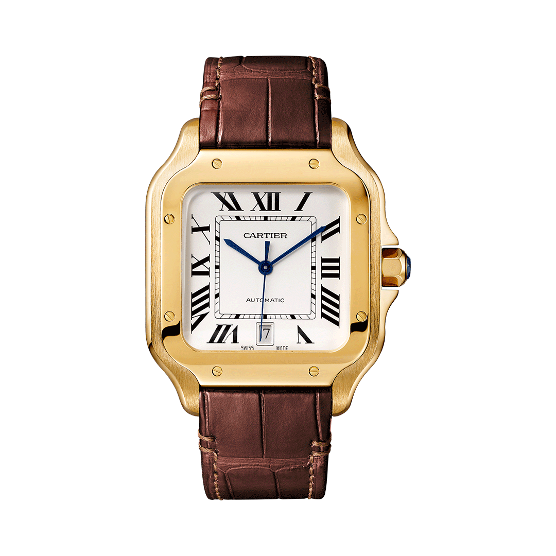 Santos de Cartier watch WGSA0029