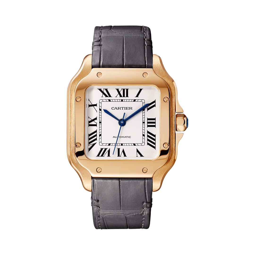 Santos De Cartier WGSA0031