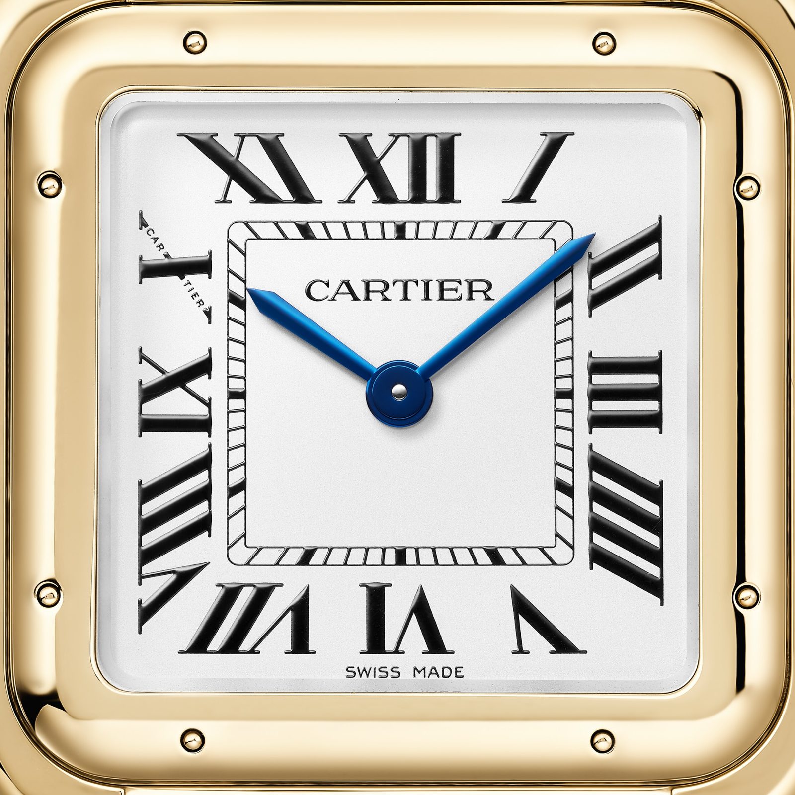 Panthère De Cartier Watch WGPN0041